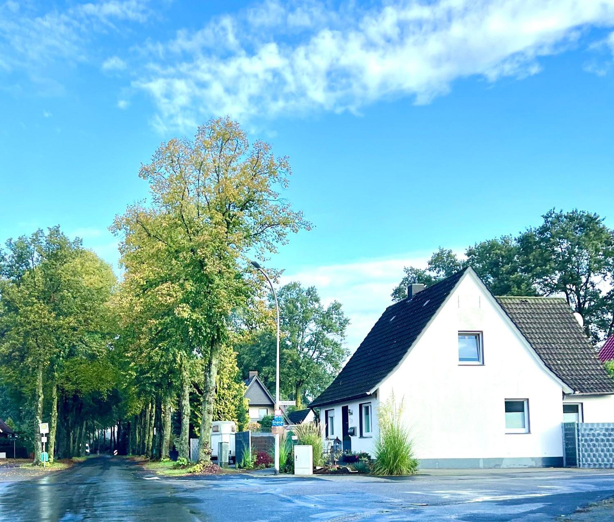 Allee Zum See Schuttorf Εξωτερικό φωτογραφία